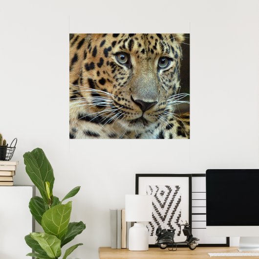 Poster Extinction (Bureau à domicile)