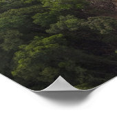 Poster Extraction d'or allié. Rainforest, Guyana. (Coin)