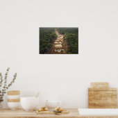 Poster Extraction d'or allié. Rainforest, Guyana. (Cuisine)