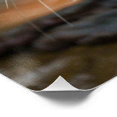 Poster Extrêmement surpris (Coin)