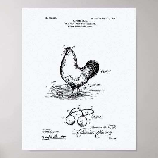 Poster Eye Protector Chickens 1903 Brevet Art Livre blanc (Devant)