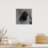 Poster Eyes Equine — Lippizan (Cuisine)