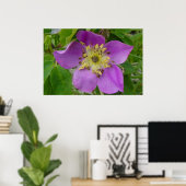 Poster F13 Rose Épineuse Rosa acicularis de l'Alberta (Bureau à domicile)