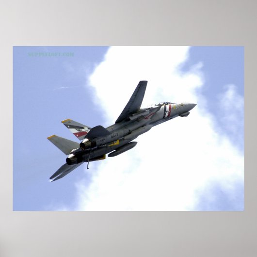 Poster F14 Monte vers Skyward (Devant)