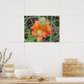 Poster F40 Fleurs sauvages orange Mallow (Cuisine)