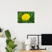 Poster F45 Dandelion "Taraxacum officinale" (Bureau à domicile)