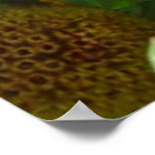 Poster F6 Fleurs sauvages jaunes Gaillardia (Coin)