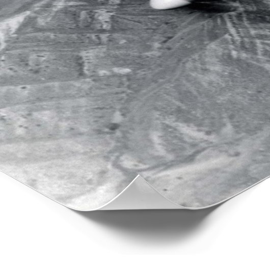 Poster F82 Twin Mustang (Coin)