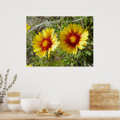 Poster F8 Jaune Gaillarde Fleur Sauvage (Cuisine)