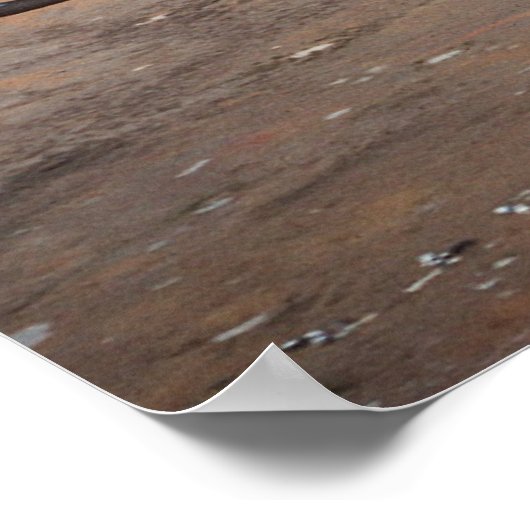 Poster F-111 Aardvark (Coin)