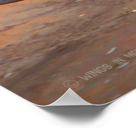 POSTER F-111F AARDVARK (Coin)