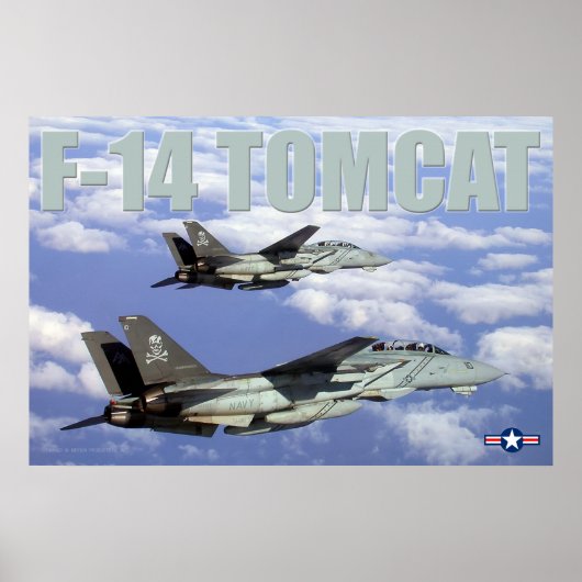 POSTER F-14 TOMCAT (Devant)