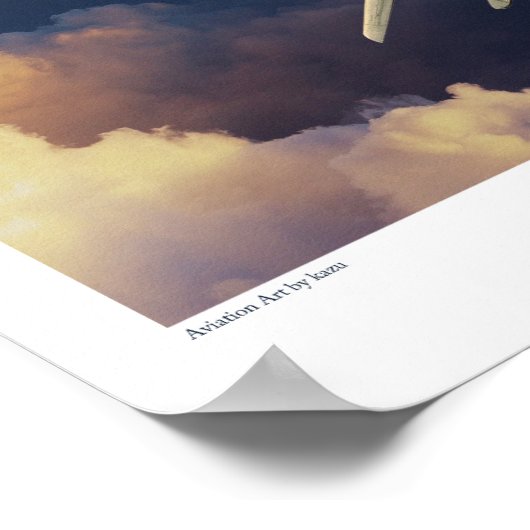 Poster F-14 Tomcat (Coin)