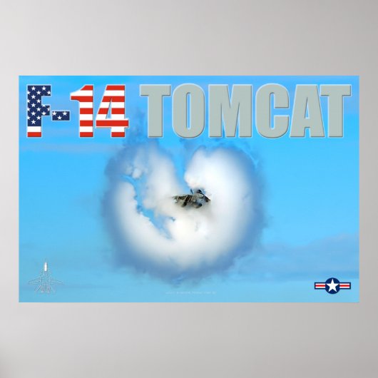 POSTER F-14 TOMCAT (Devant)