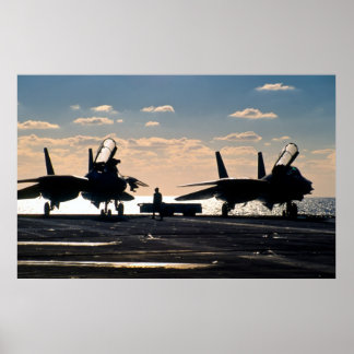 Poster F-14 Tomcat