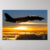 POSTER F-14 TOMCAT (Devant)
