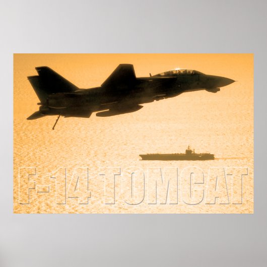POSTER F-14 TOMCAT (Devant)