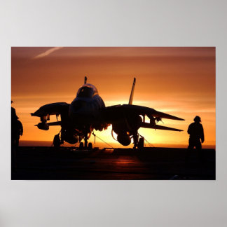 Poster F-14 Tomcat