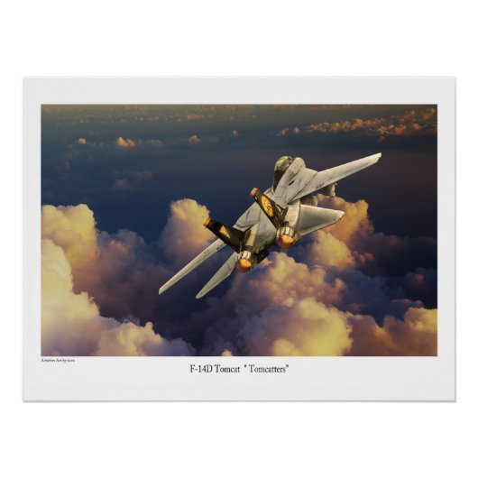Poster F-14 Tomcat  (Devant)