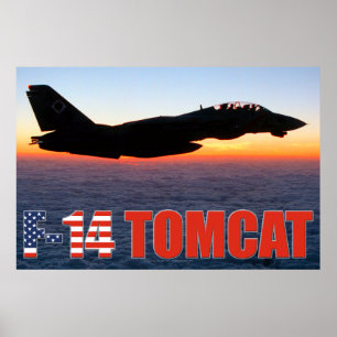 POSTER F-14 TOMCAT "PATROUILLE DE SOLEIL"