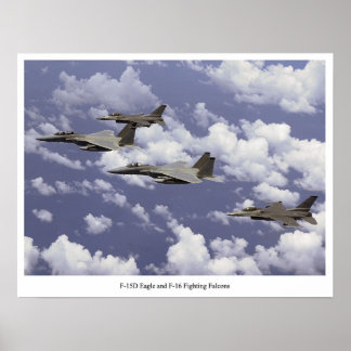 Poster F-15D Aigle et F-16 Faucons de combat