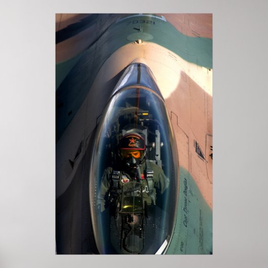 Poster F-16 Aéronefs de Faucon de combat (Devant)