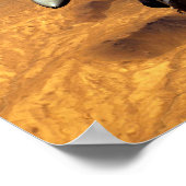 Poster F-16 Faucon combattant (Coin)