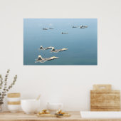 Poster F-22 Raptors (Cuisine)