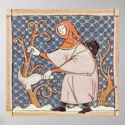 Poster F.58v Mars : Arbres à couteaux (Devant)