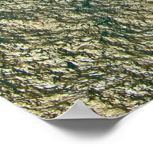 POSTER F/A-18F SUPER HORNET (Coin)