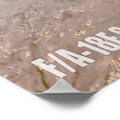 POSTER F/A-18F SUPER HORNET (Coin)