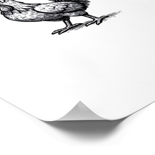 Poster F-Caw-F Chicken Creative Casual (Coin)