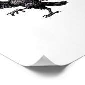 Poster F Caw F Essential Vintage Graphic Look (Coin)