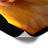 Poster F-caw-f Funny Chicken Humor F-caw-f Quote Trump (Coin)