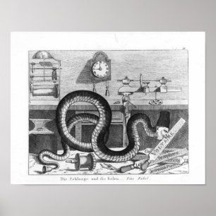 Poster Fable du serpent et des fichiers