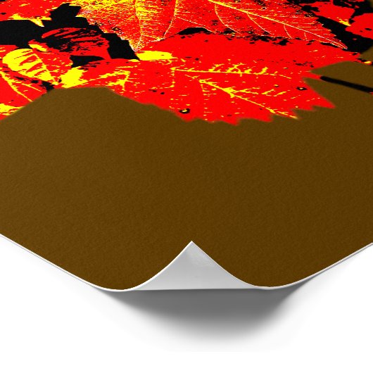 Poster Fabuleux Thanksgiving (Coin)