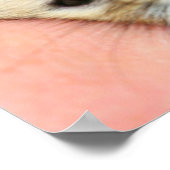 Poster Face 1 mignonne hamster (Coin)