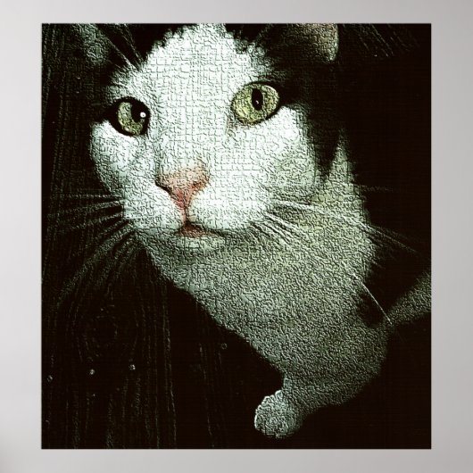 Poster Face à toi Bob (Devant)