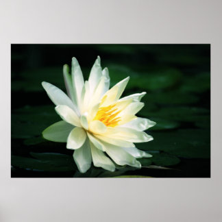 Poster Face au soleil