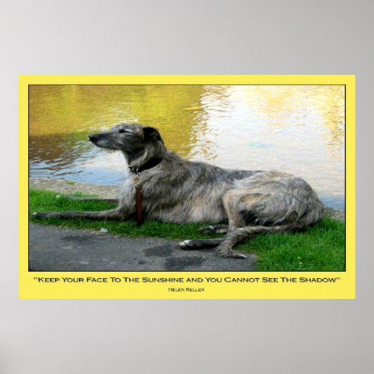 Poster Face au soleil, imprimer (Devant)