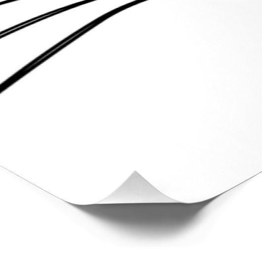 POSTER FACE CAT (Coin)