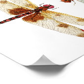 Poster Face de libellule désactivée (Coin)