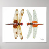 Poster Face de libellule désactivée (Devant)