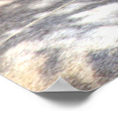 Poster face de lion (Coin)