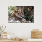 Poster face de lion (Cuisine)