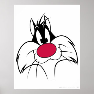 Poster Face de nez rouge SYLVESTER™
