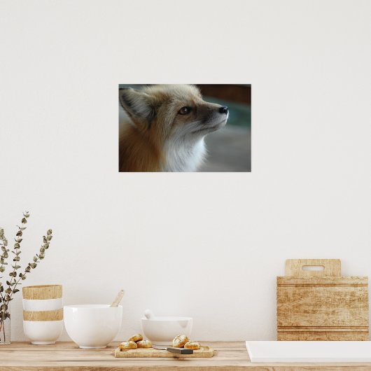 Poster Face de renard mignon (Cuisine)