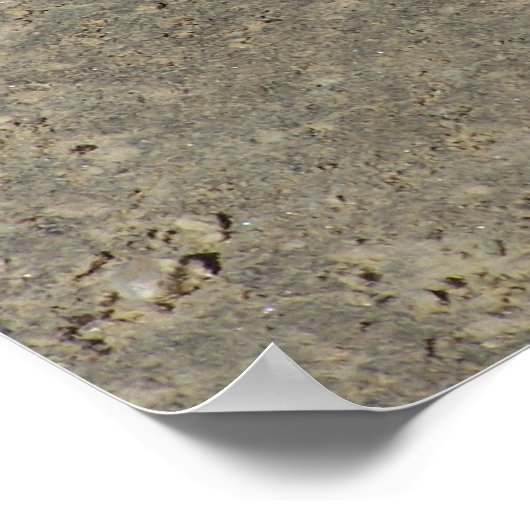 Poster Face de serpent à taureau avec caméra (Coin)