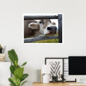 Poster Face de vache tyrolienne à travers clôture (Bureau à domicile)