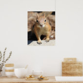 Poster Face d'écureuil (Cuisine)